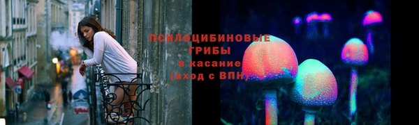спиды Алзамай
