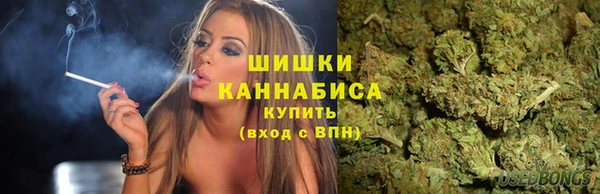 спиды Алзамай